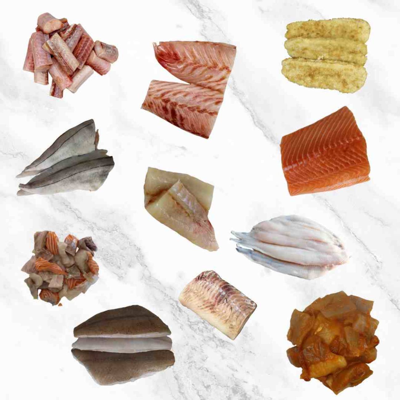 Overzicht Noordzee vispakket 4 personen met zalm