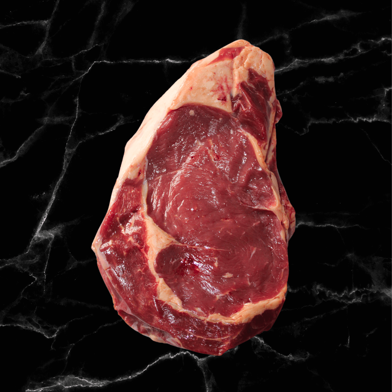 Grill haut de gamme